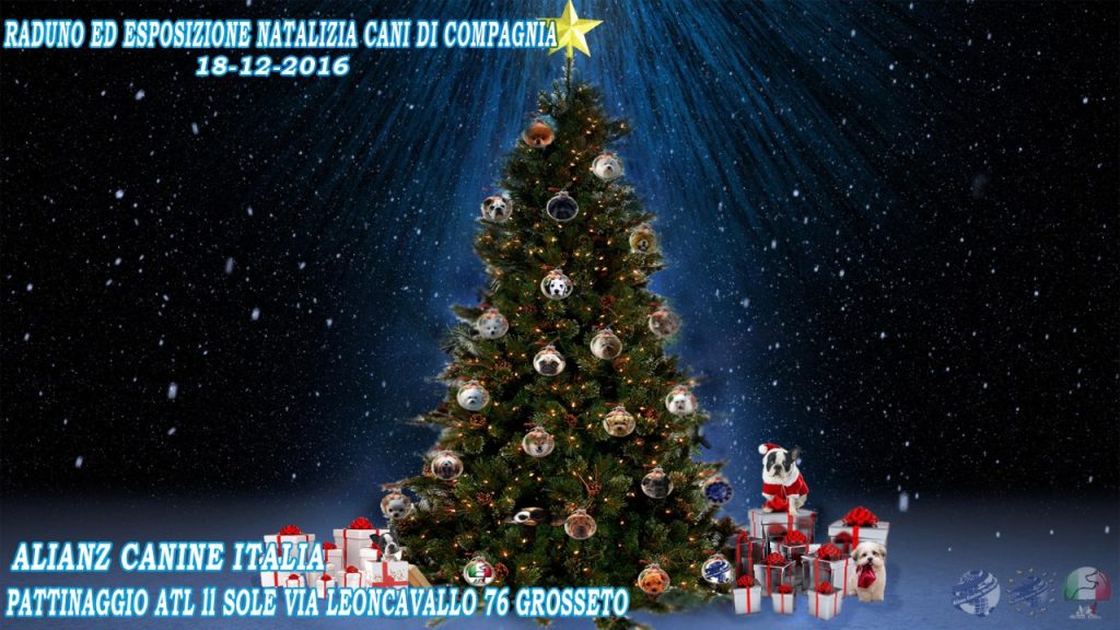 Evento Natalizio 18 Dicembre 2016