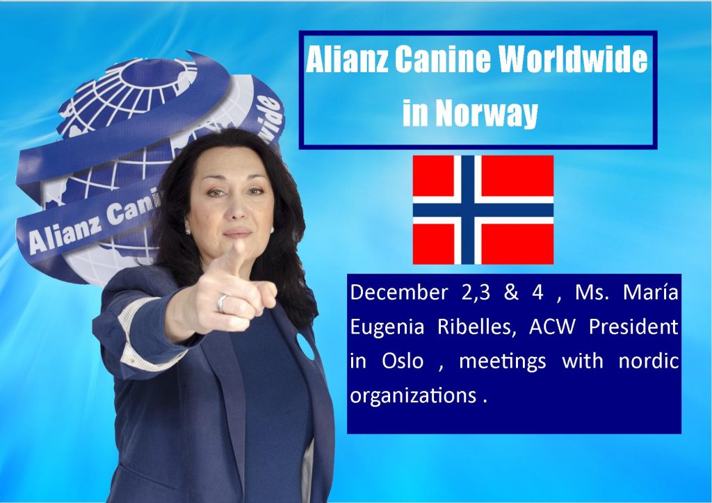 Alianz Canine Worldwide in Norway