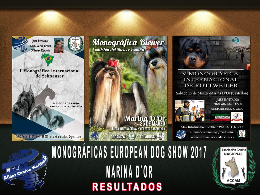Resultados Monográficas Biewer, Schnauzer y Rottweiler European Dog Show Marina d´Or 2017
