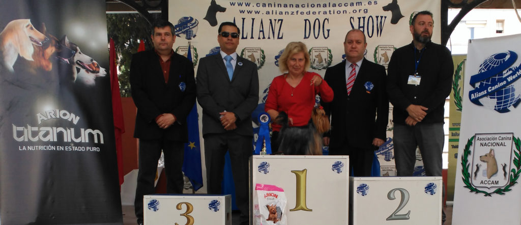 Juan Carlos Velastegui de Alianz Ecuador juez invitado en la Exposición Canina Nacional en Murcia , España 2018