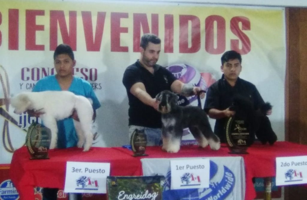 1er Congreso y Competencia de Groomers Alianz Perú 2018