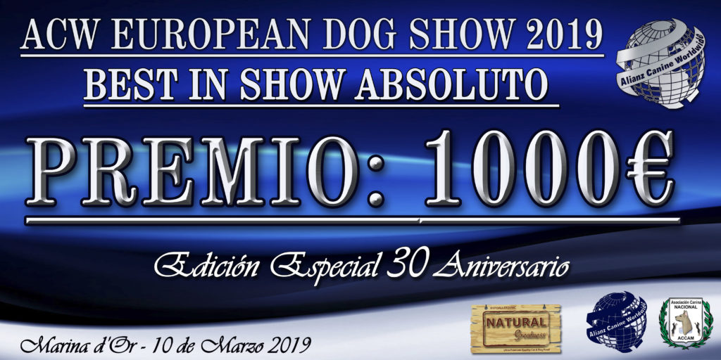 Gran Premio de 1000 euros en la Competición ACW 30 Aniversario Marina d´Or, España 2019