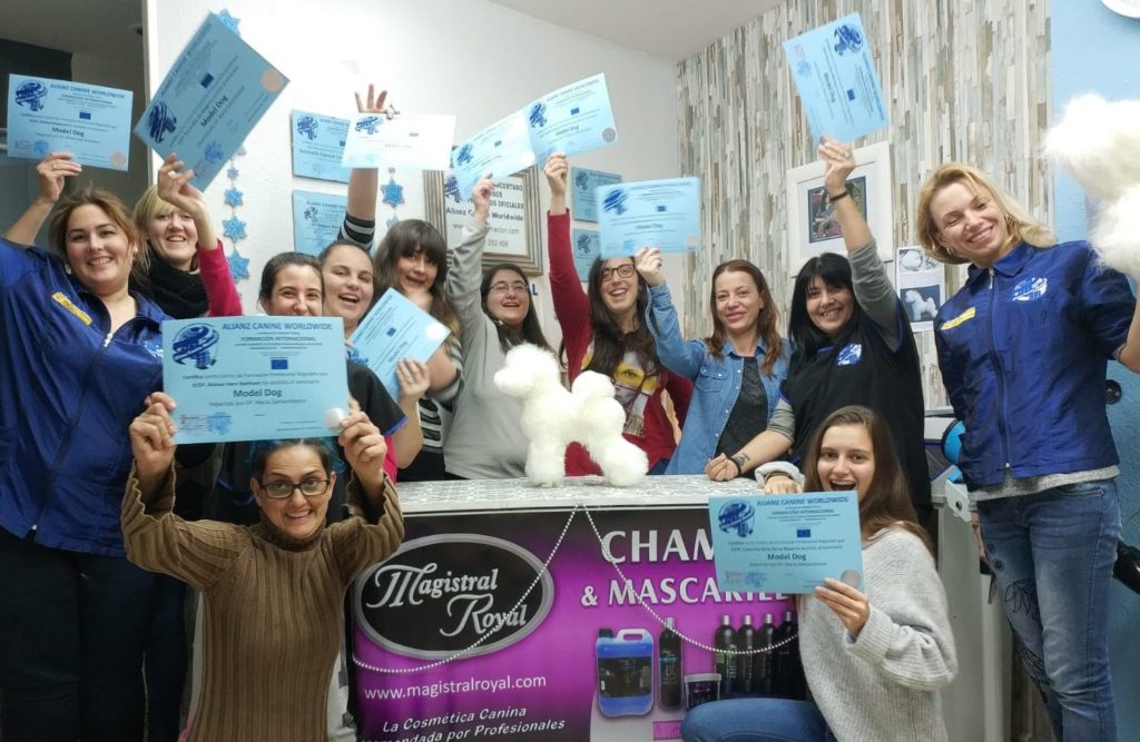 Model Dog ACW Grooming . Éxito en el Primer Seminario Model Dog Alianz ACW en España