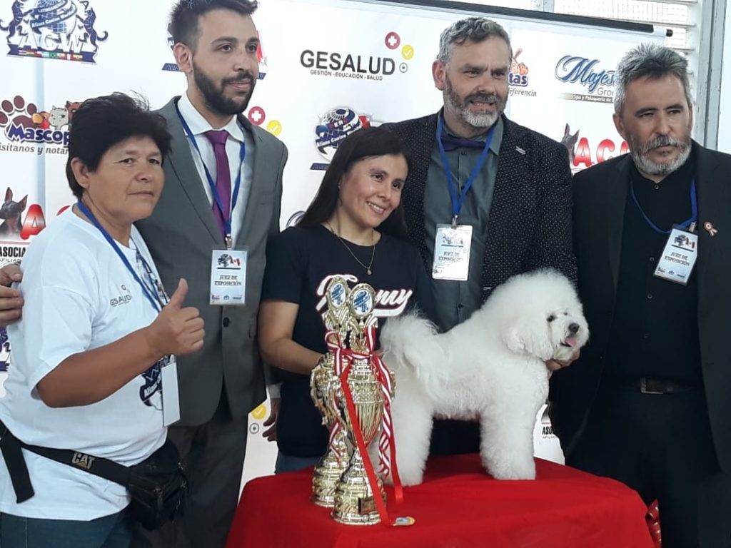 1ra Exposición Canina Alianz