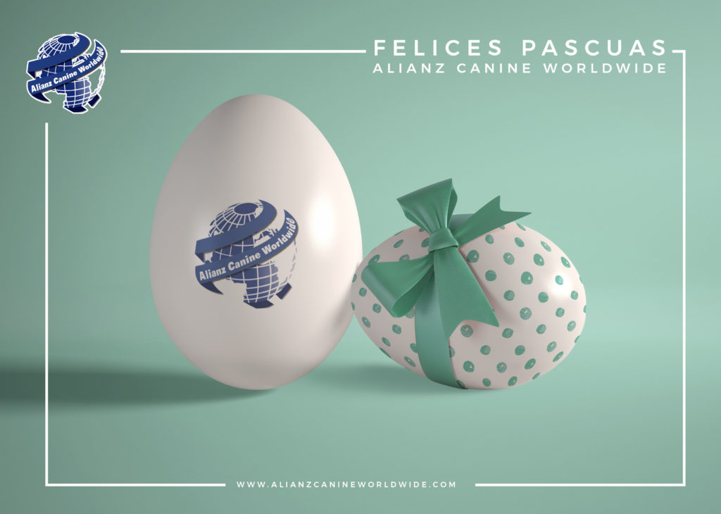 Felices Pascuas!!!!