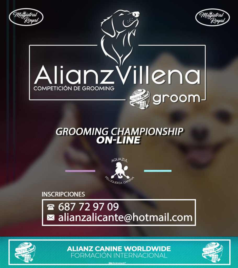 COMPETENCIA DE PELUQUERÍA CANINA