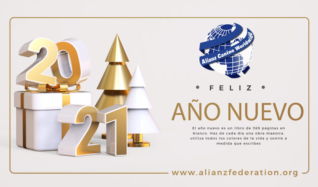 Feliz Año Nuevo