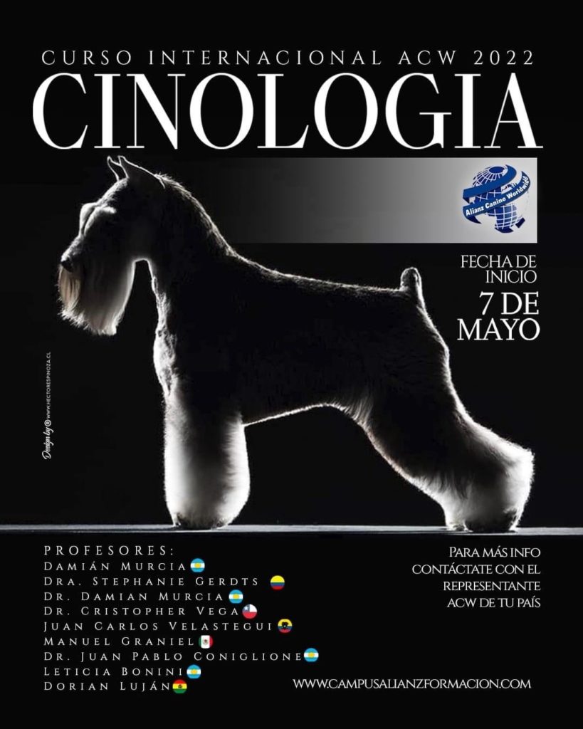 cinologia