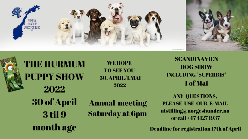 The Hurmum Puppy Show en Noruega