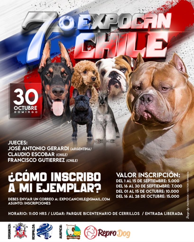expocan chile exposición canina chile