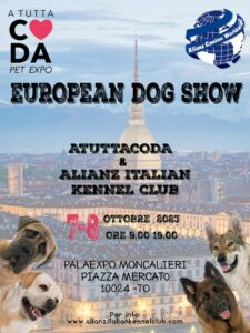 european dog show italian acw