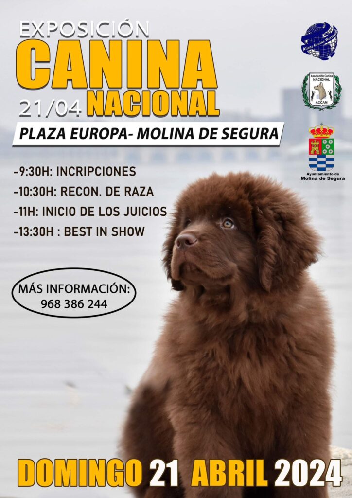 Exposición Canina Nacional en Molina de Segura