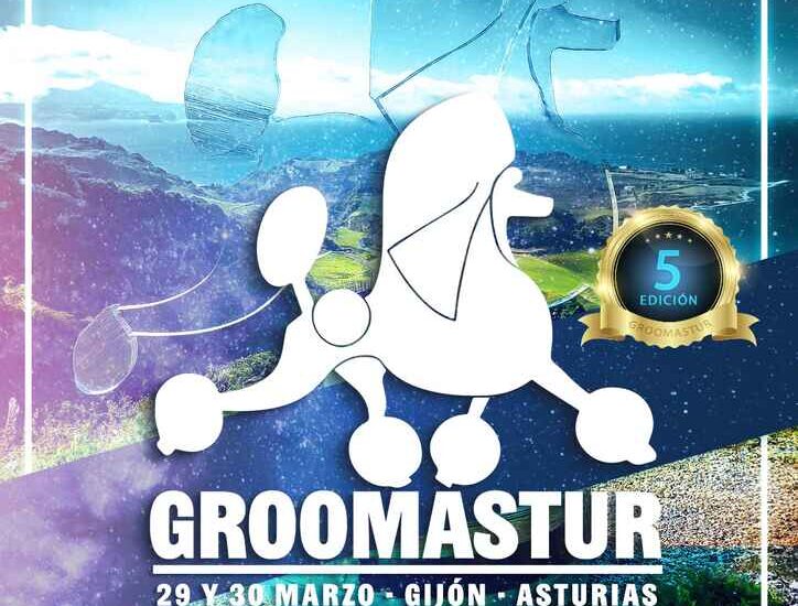 Campeonato GroomAstur