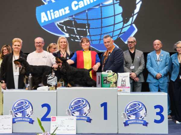 SPANIEL CAMPEONES - - CAMPEONATO EUROPEO PELUQUERIA CANINA 2024