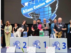 TIJERA PRINCIPIANTES - CAMPEONATO EUROPEO PELUQUERIA CANINA 2024
