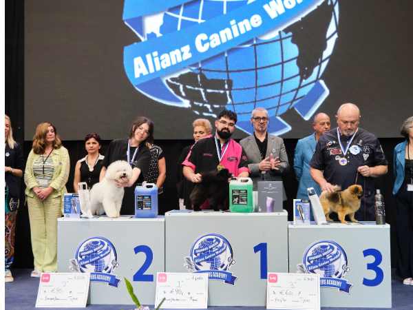 TIJERA PRINCIPIANTES - CAMPEONATO EUROPEO PELUQUERIA CANINA 2024