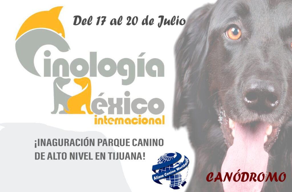 Revolución Canina: El Primer Parque de Alto Nivel en México