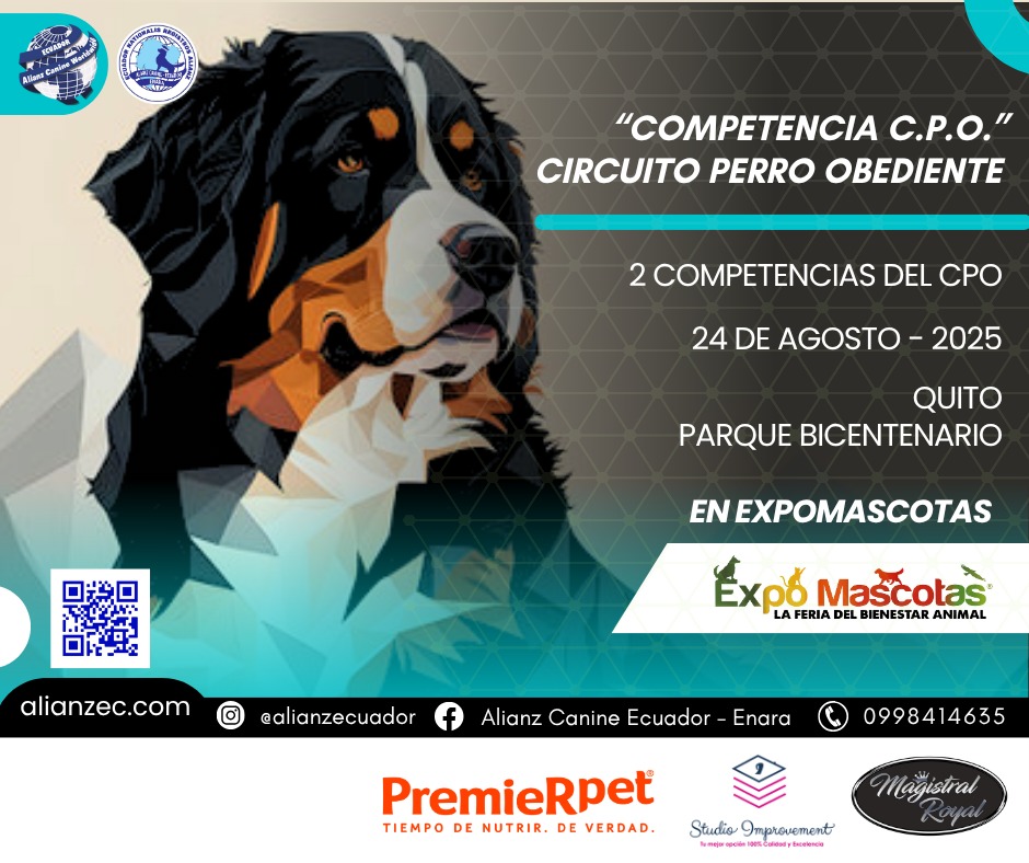 Exposiciones Caninas Internacionales ACW Ecuador 2025 – Quito Celebra la Cinofilia Mundia