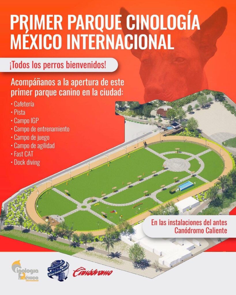 Parque canino en México: Espacio 100% Dedicado a Perros - Apertura Oficial