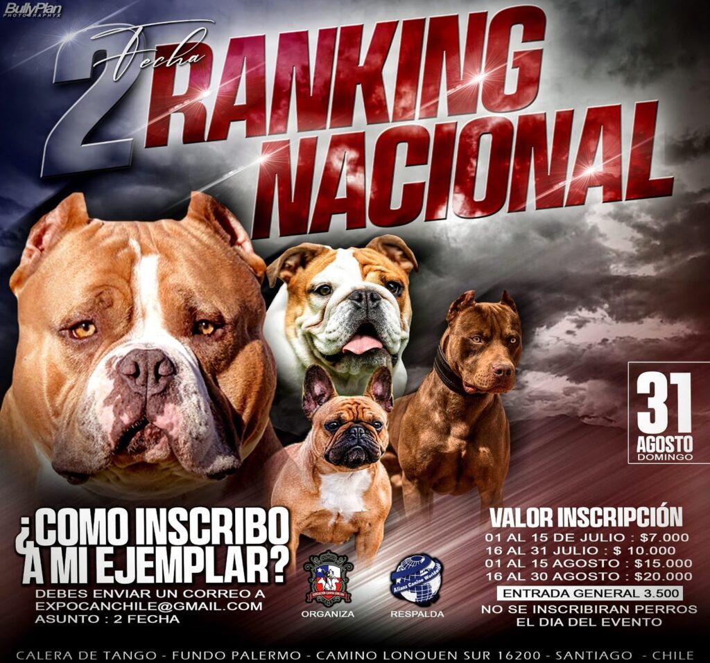¡Arranca la 2ª Fecha del Ranking Nacional ACC 2025! Inscripciones Abiertas