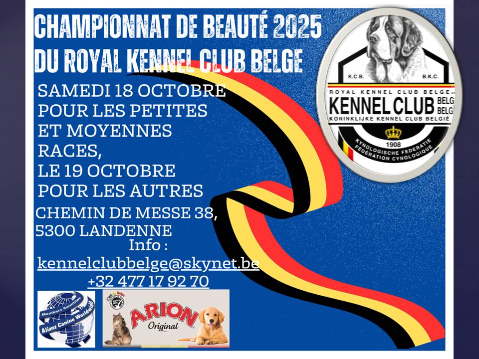 Campeonato de Belleza Canina 2025 en Bélgica KCB