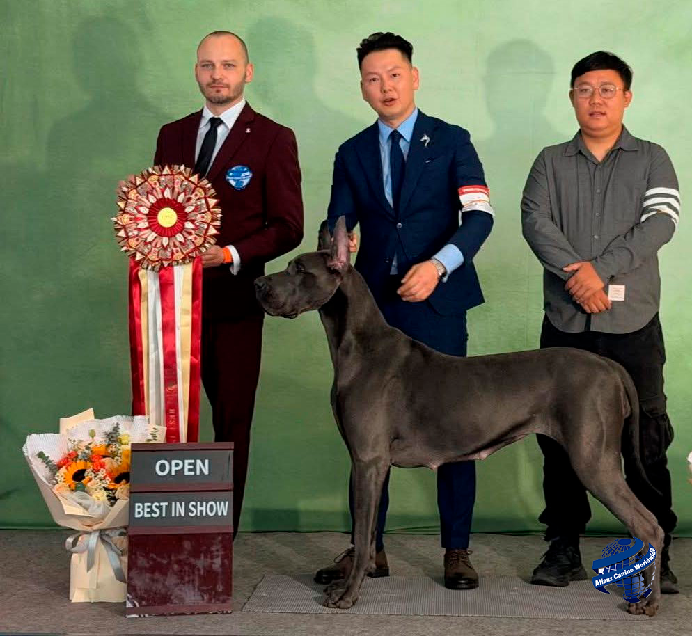 Alianz Canine Worldwide (ACW) tiene el placer de anunciar el nombramiento de Piotr Dworak Sokołowski como Embajador de ACW para la región de Europa del Norte, del Este y Central.