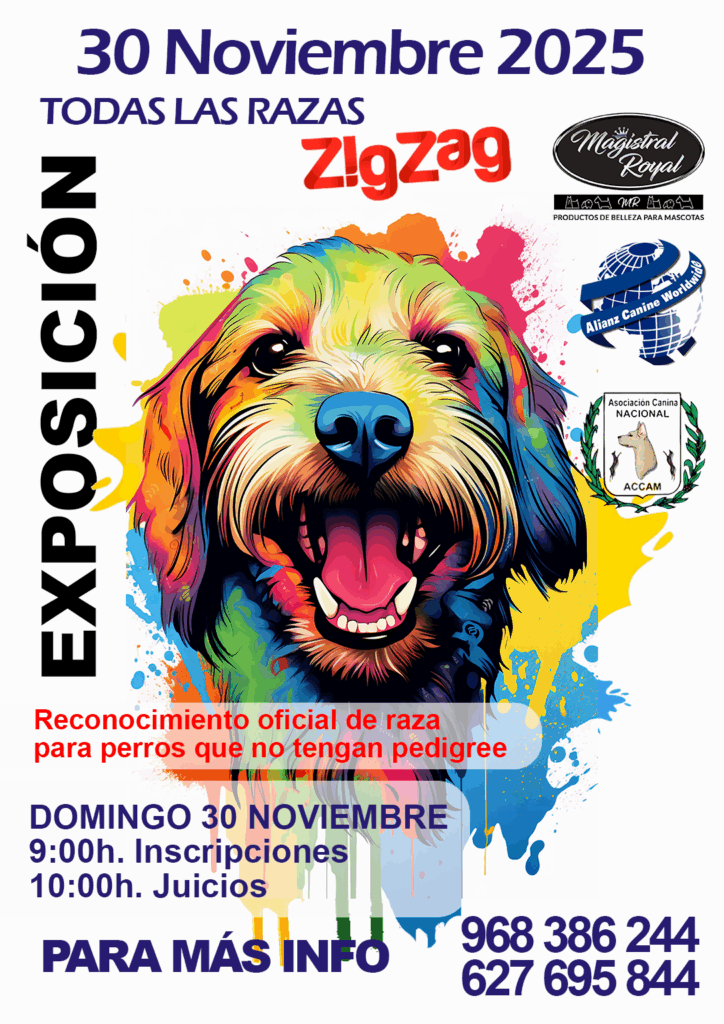 Exposición Canina Nacional – 30 de noviembre de 2025 en ZigZag, Murcia