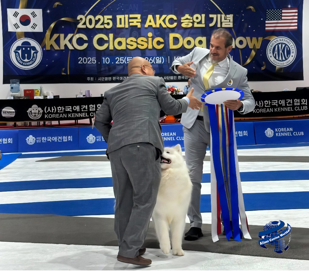 Ricardo Forastieri: Juez Internacional en Corea 2025