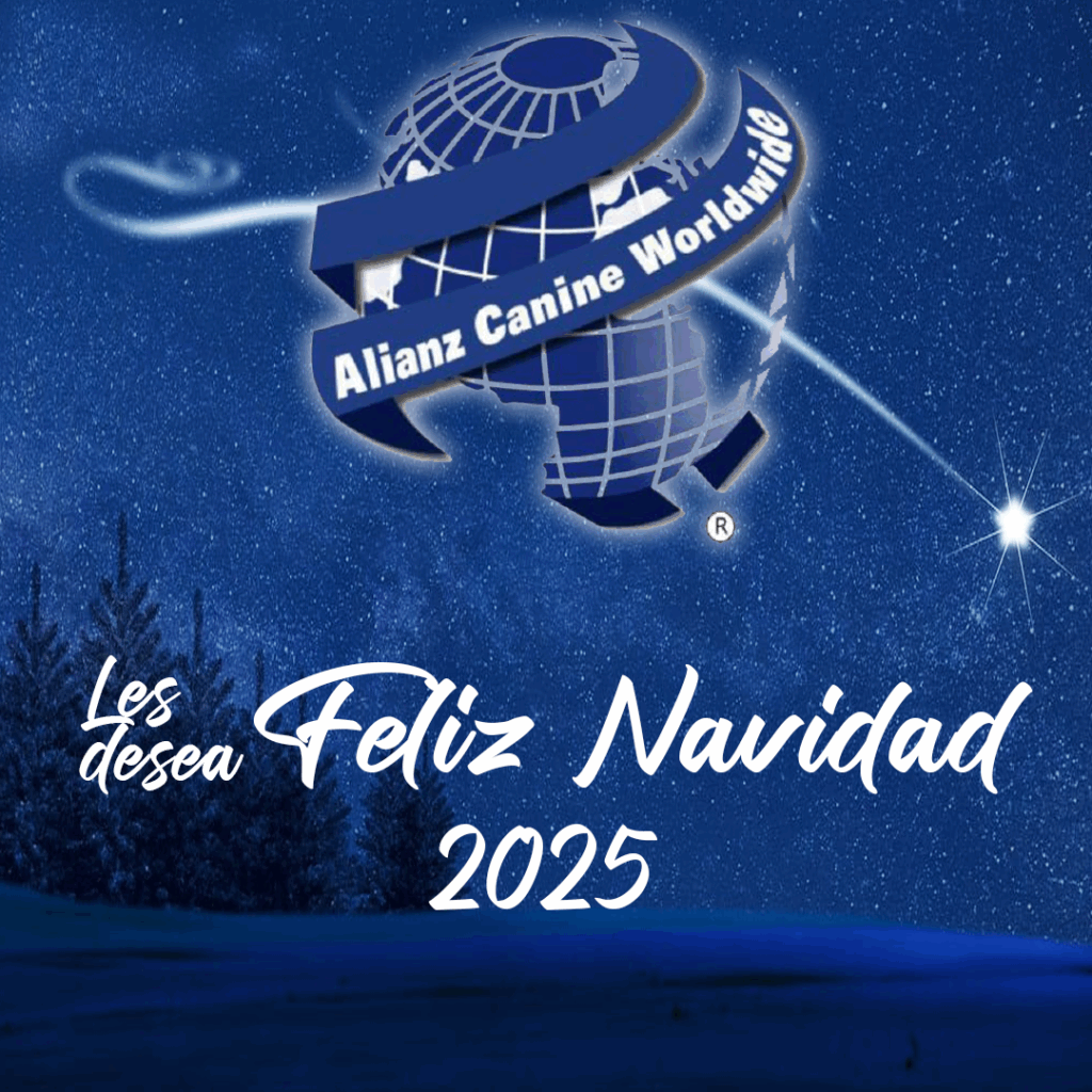 La Navidad Llega: Celebrando Momentos, Unión y Pasión por el Mundo Canino
